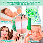 Parches Detox Kinoki| Limpia tu cuerpo naturalmente mientras duermes 🤩😴🦶🌿 🤩
