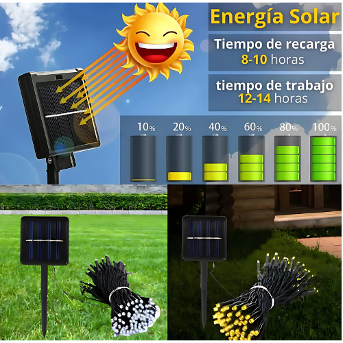 EcoNavidad| Decoración Navideña para tu hogar ahorrando electricidad 💡🌲