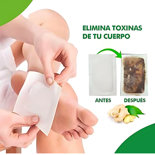 Parches Detox Kinoki| Limpia tu cuerpo naturalmente mientras duermes 🤩😴🦶🌿 🤩