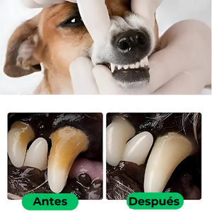 HappyPets| Aliento fresco, boca sana y dientes limpios siempre 🐶🐱🦷