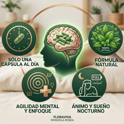 FloraViva™ | Extracto de Rhodiola Rosea | Rinde al máximo sin estrés y sin niebla mental