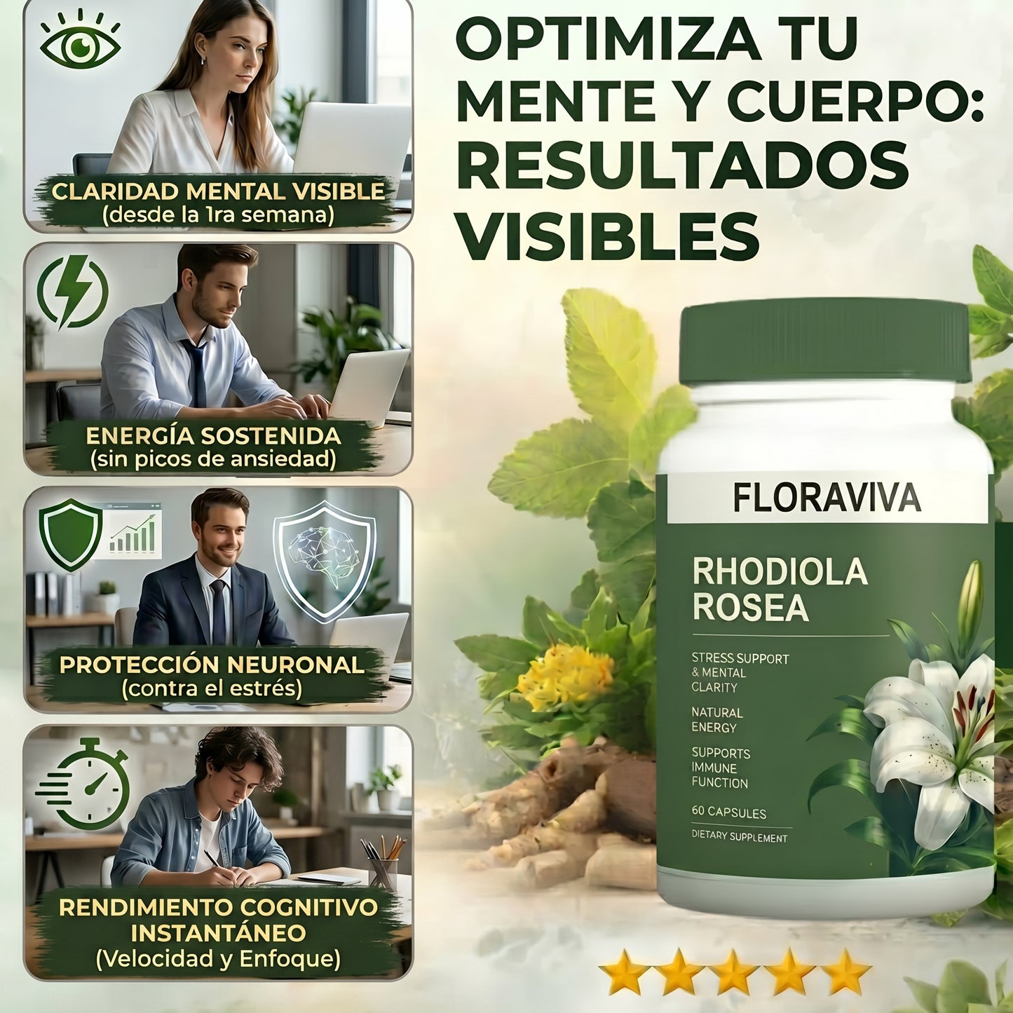 FloraViva™ | Extracto de Rhodiola Rosea | Rinde al máximo sin estrés y sin niebla mental