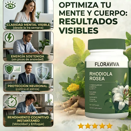 FloraViva™ | Extracto de Rhodiola Rosea | Rinde al máximo sin estrés y sin niebla mental