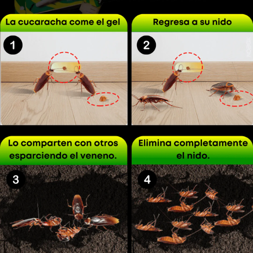 🛍️ Combo ChakGel| Elimina cucarachas desde la raíz sin olores ni químicos agresivos Llévate 2 y paga 1