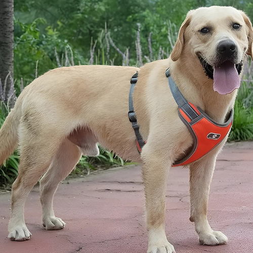 PetSecure| Pechera antitirones para perros medianos y grandes – Control total y confort en cada paseo + Envío gratis