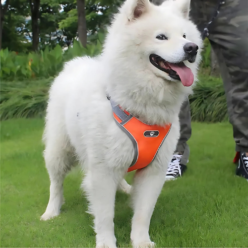 PetSecure| Pechera antitirones para perros medianos y grandes – Control total y confort en cada paseo + Envío gratis