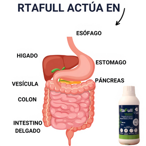 RtaFull| Fórmula Detox Natural para Hígado Graso y Digestión Pesada – Siente Resultados en 1 Semana