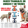PetSecure| Pechera antitirones para perros medianos y grandes – Control total y confort en cada paseo + Envío gratis